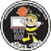 https://img.sdzdmy.cn/img/basketball/team/e416830f4083698237c559f8988ddb25.png